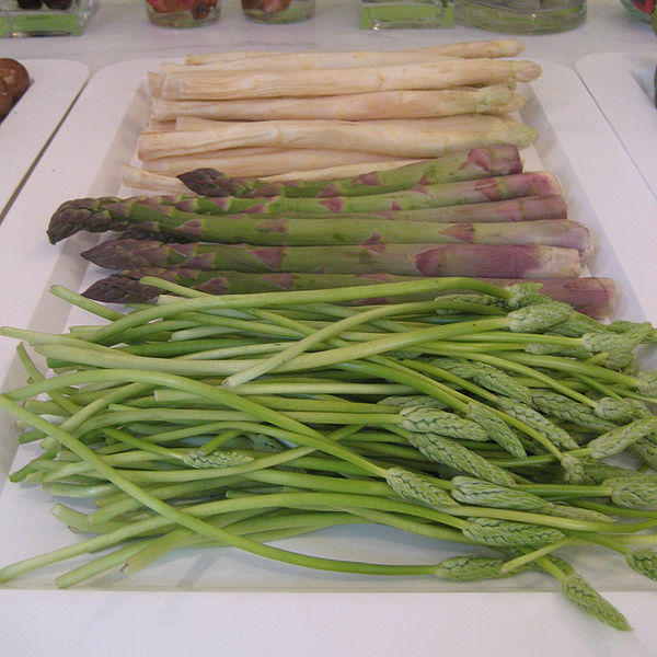 600px-Asparagus3