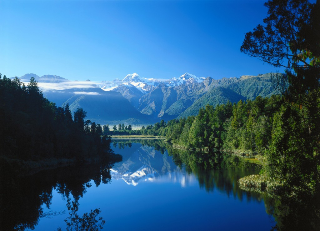 Neuseelandhirsch_Landschaft
