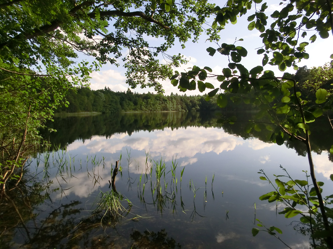 Döllnsee in der Schorfheide, Brandenburg, Foto: refri