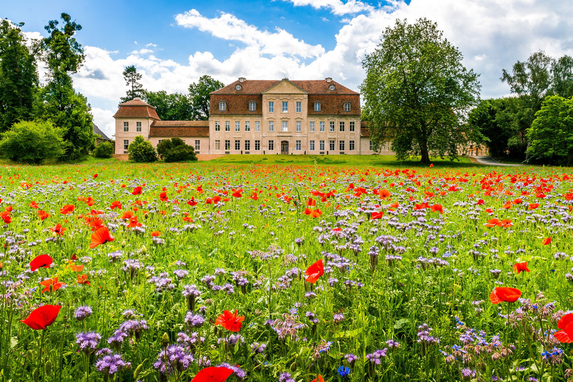 Schloss Kummerow Nordfassade reduziert©Alexander Rudolph 2017